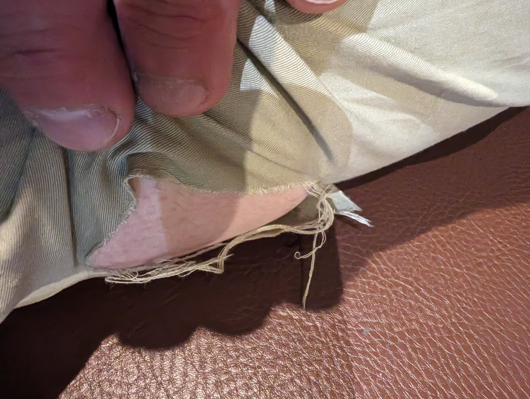 PXL-20240511-204758306-MP.jpg[img]